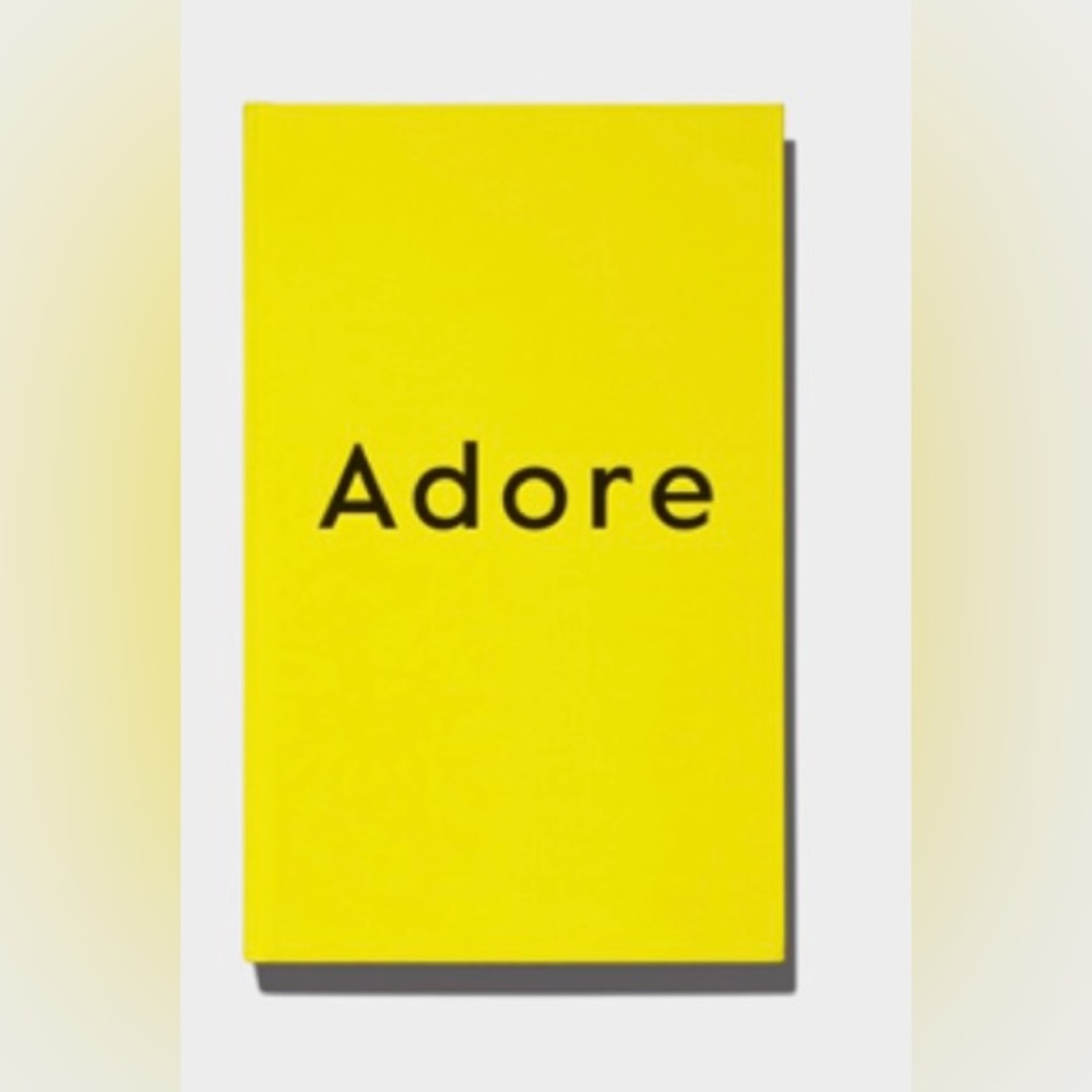 Madonna Adore book limited ! Very rare!